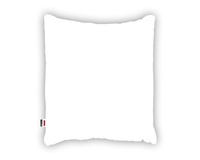 Standard BIAŁA