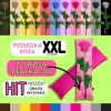 HIT! Różowa Poduszka Róża XXL 1,4m – Personalizowany Prezent dla Kobiety