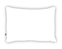 Standard BIAŁA