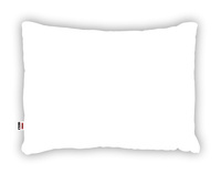 Standard BIAŁA
