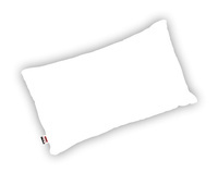 Standard BIAŁA