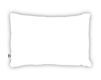 Standard BIAŁA