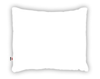 Standard BIAŁA